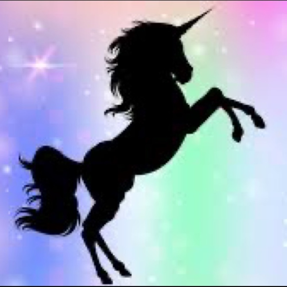 Kids 🦄 Unicorn Sock bundle